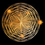 Twist and Spin