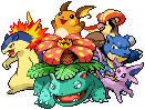 Pokemon Team