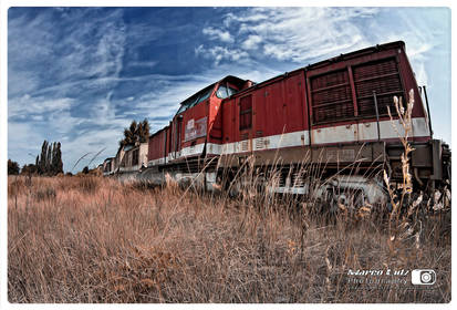 Die Bahn geht ... Lost Train