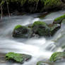 Babbling brook