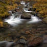 Stream