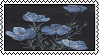 blue_flowers___f2u_stamp_by_wytchstarr_dk06zu1-fullview.png?token=eyJ0eXAiOiJKV1QiLCJhbGciOiJIUzI1NiJ9.eyJzdWIiOiJ1cm46YXBwOjdlMGQxODg5ODIyNjQzNzNhNWYwZDQxNWVhMGQyNmUwIiwiaXNzIjoidXJuOmFwcDo3ZTBkMTg4OTgyMjY0MzczYTVmMGQ0MTVlYTBkMjZlMCIsIm9iaiI6W1t7ImhlaWdodCI6Ijw9NTUiLCJwYXRoIjoiL2YvZDViNWMxYjItYTFlOC00YzMyLTkzNDYtNTE2MThmMWE2NTcwL2RrMDZ6dTEtYzNmZjhlNDgtM2RhMy00MzgzLWI5NDYtMTkwZjdhM2FiN2NjLnBuZyIsIndpZHRoIjoiPD05OSJ9XV0sImF1ZCI6WyJ1cm46c2VydmljZTppbWFnZS5vcGVyYXRpb25zIl19.pkA1A0EOzHyIu55XPreJP0XfJxWn46oMi64BNBIxg08