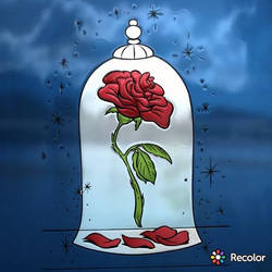 The Enchanted Rose