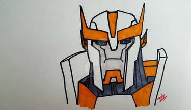 TFP Ratchet Doodle