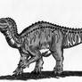Dinovember Day 15: Camptosaurus