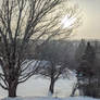 Winter Landscape