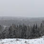 East Coast Winter Landscape