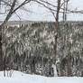 Snow-Covered Hills