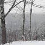 During the Storm