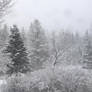 Snowglobe