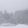Whiteout