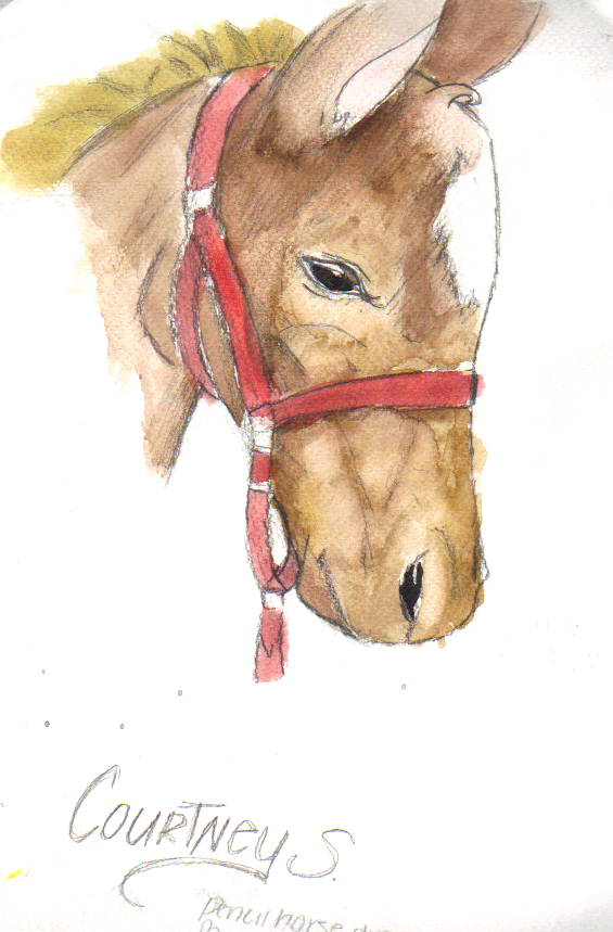 Watercolor Horse