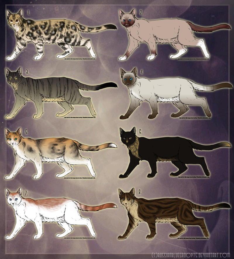 Cat Adopts- CLOSED