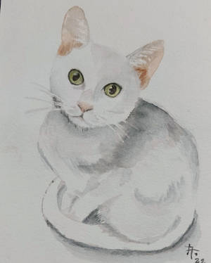 2021 White cat watercolor