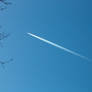Jet Stream