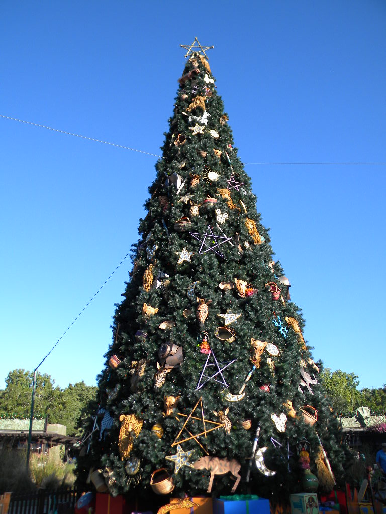 Animal Kingdom Chirstmas 2010