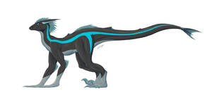 book new geographies of race and racism 2008