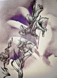 Gladiolus Ink