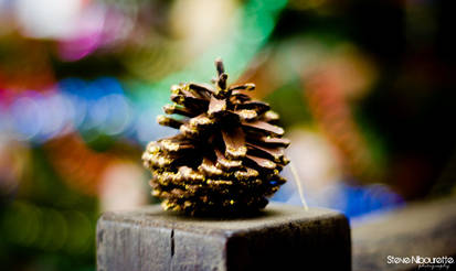 Bokeh Xmas