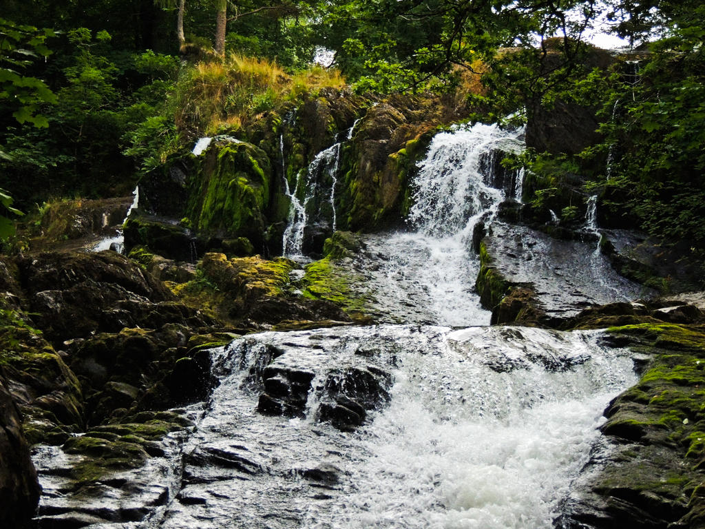 Swallow Falls III