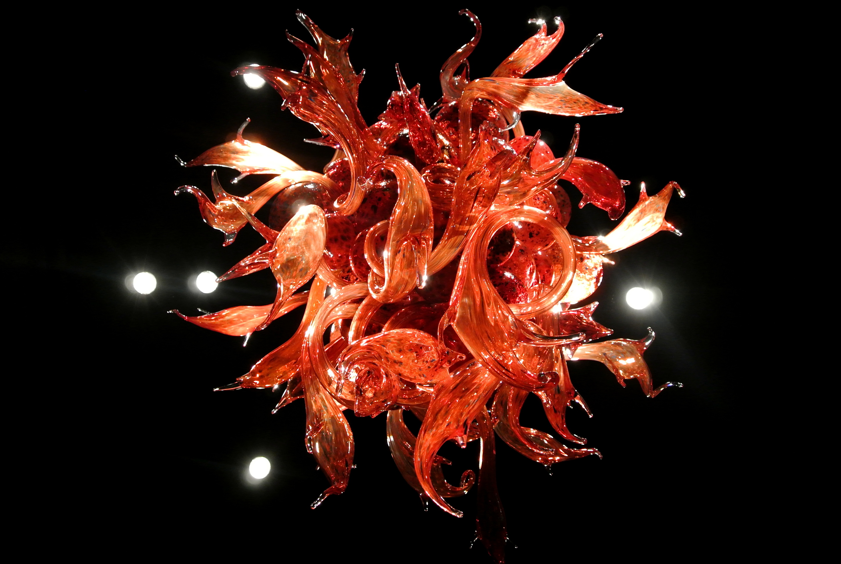 Chihuly Garden and Glass