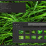 Green forever