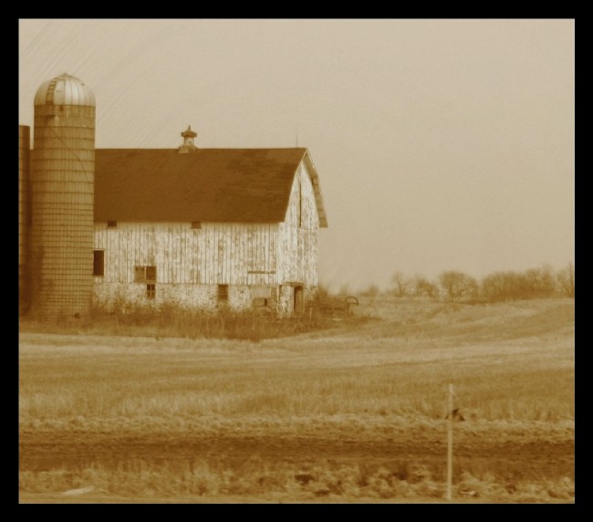 farmland