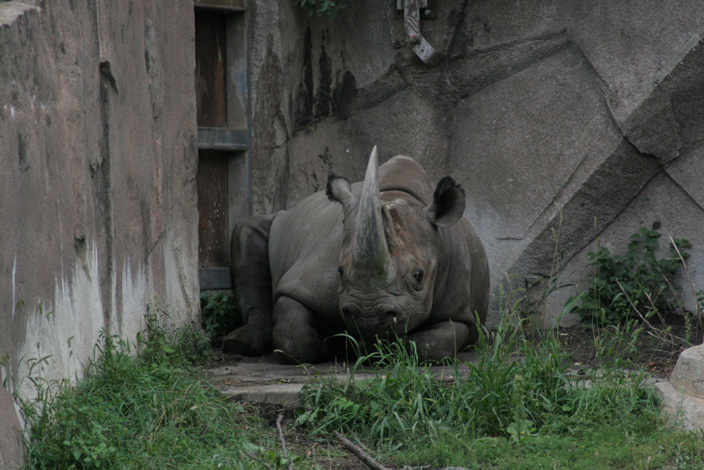 Milwaukee Zoo 3