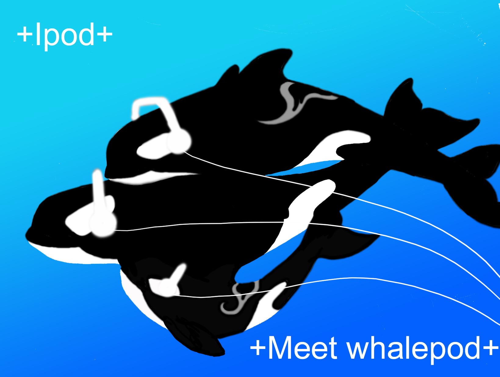 Whale Pod