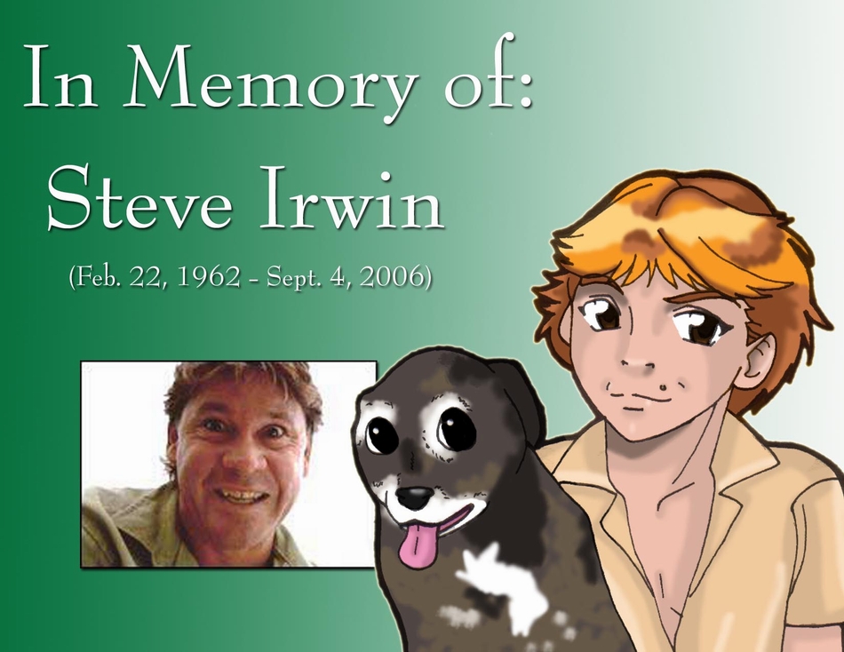 In Memory of Steve Irwin