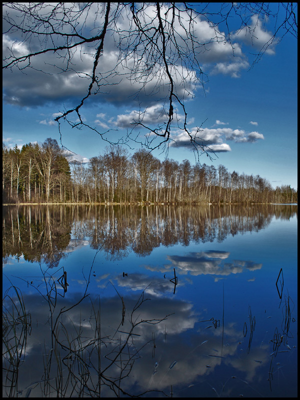 Blue skies