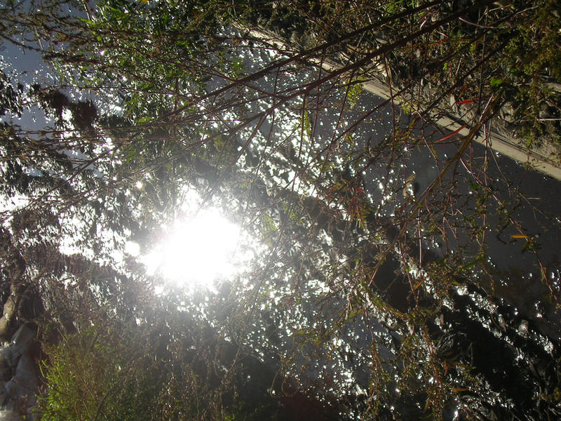 sun in mud by biggy2 on DeviantArt