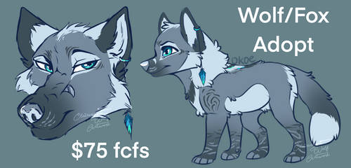 Wolf/Fox Hybrid ADOPT