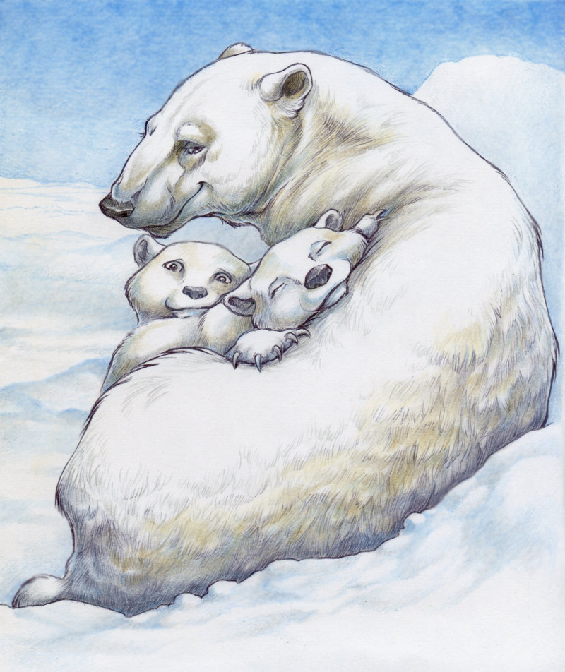 Polar Bear Family