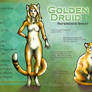 Golden Druid Ref Sheet 2010