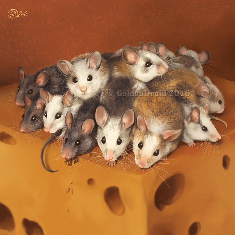 К чему снится много мышей серых маленьких. Много мышей. Милые мышки. Стая мышей. Разные мыши.