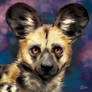 Wild Dog Portrait - SpeedPaint