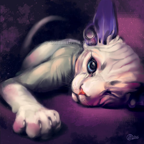 Pink Sphynx - SpeedPaint by GoldenDruid