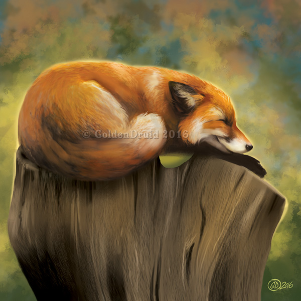 Fox Nap - SpeedPaint by GoldenDruid
