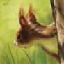 Squirrel On Tree - SpeedPaint