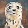 Harbor Seal - SpeedPaint