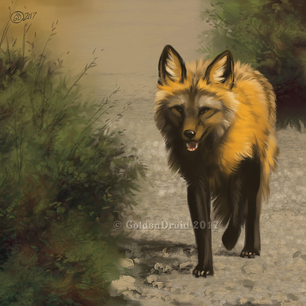 Fox Trot - SpeedPaint