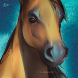 Horsing Around - SpeedPaint