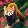 Cherry Red Panda - SpeedPaint