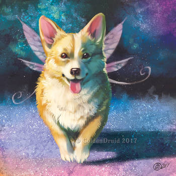 Corgi Fairy - SpeedPaint