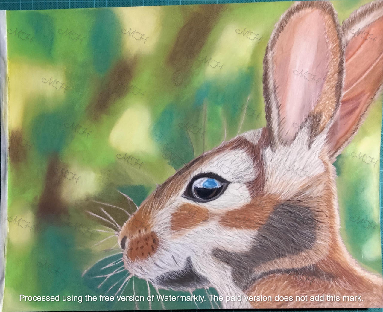 Gypsy Rabbit Watermark rabbit Watermarked by Mel2k9 on DeviantArt