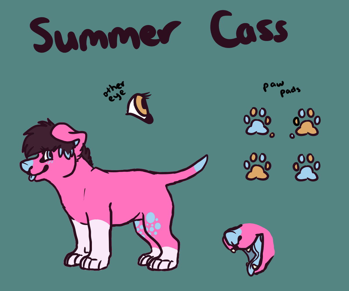 Summer Cass Reference Sheet