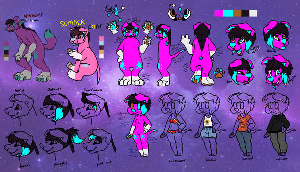 Cass Reference Sheet 2015