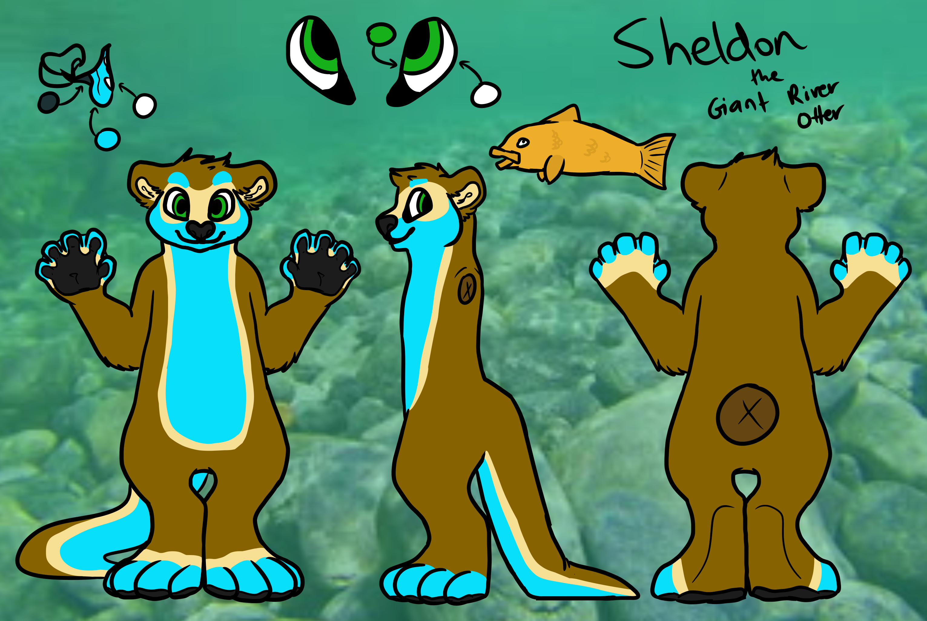 [COMMISSION] Sheldon Reference Sheet