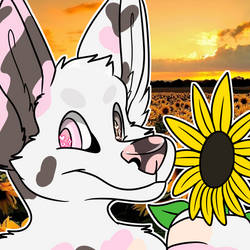 [C] Neapolitan Sunflower Icon